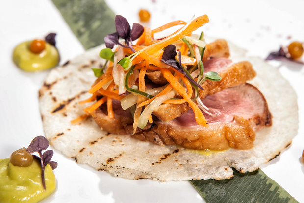 HarrySasson-LATAM-2018-DISH1